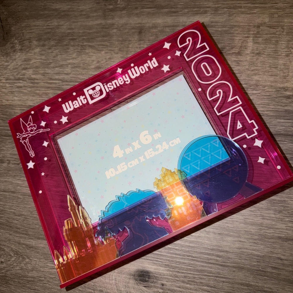 Walt Disney world 2024 pic frame